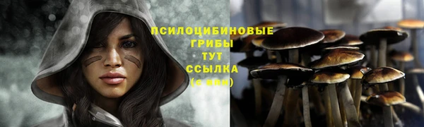 jwh Вяземский