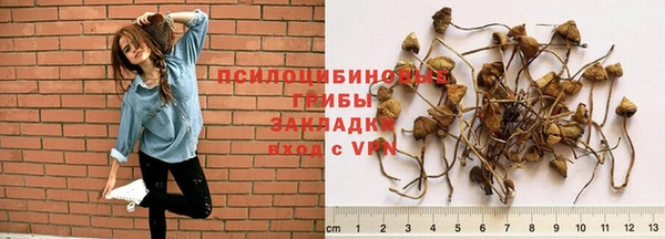 jwh Вяземский